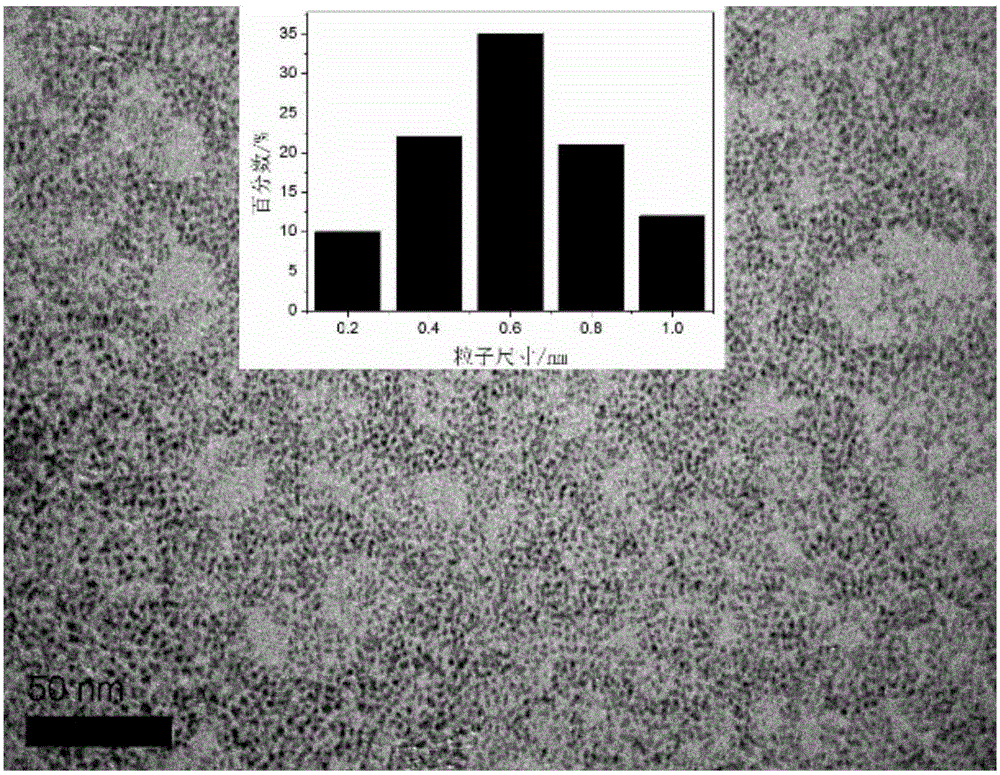 InP quantum dot and preparation method thereof