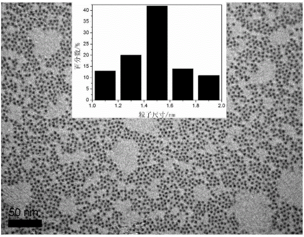 InP quantum dot and preparation method thereof