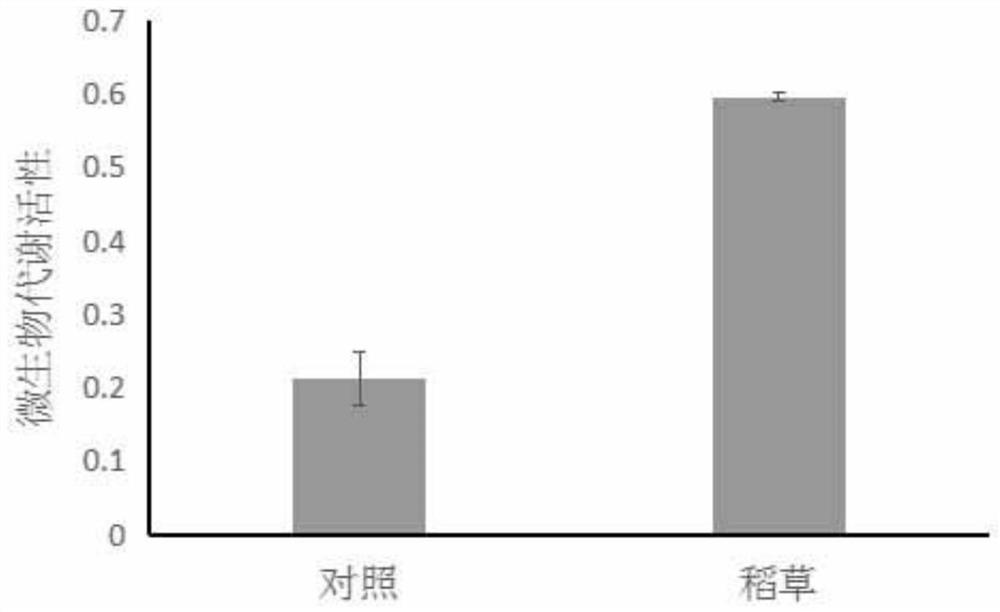 A method for controlling nitrogen and increasing quality of flue-cured tobacco in high organic matter tobacco field soil