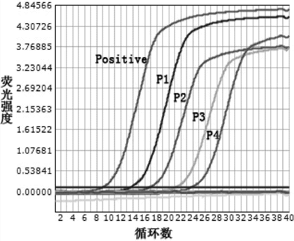 A kind of pcr primer for detecting mycoplasma pneumoniae and its application