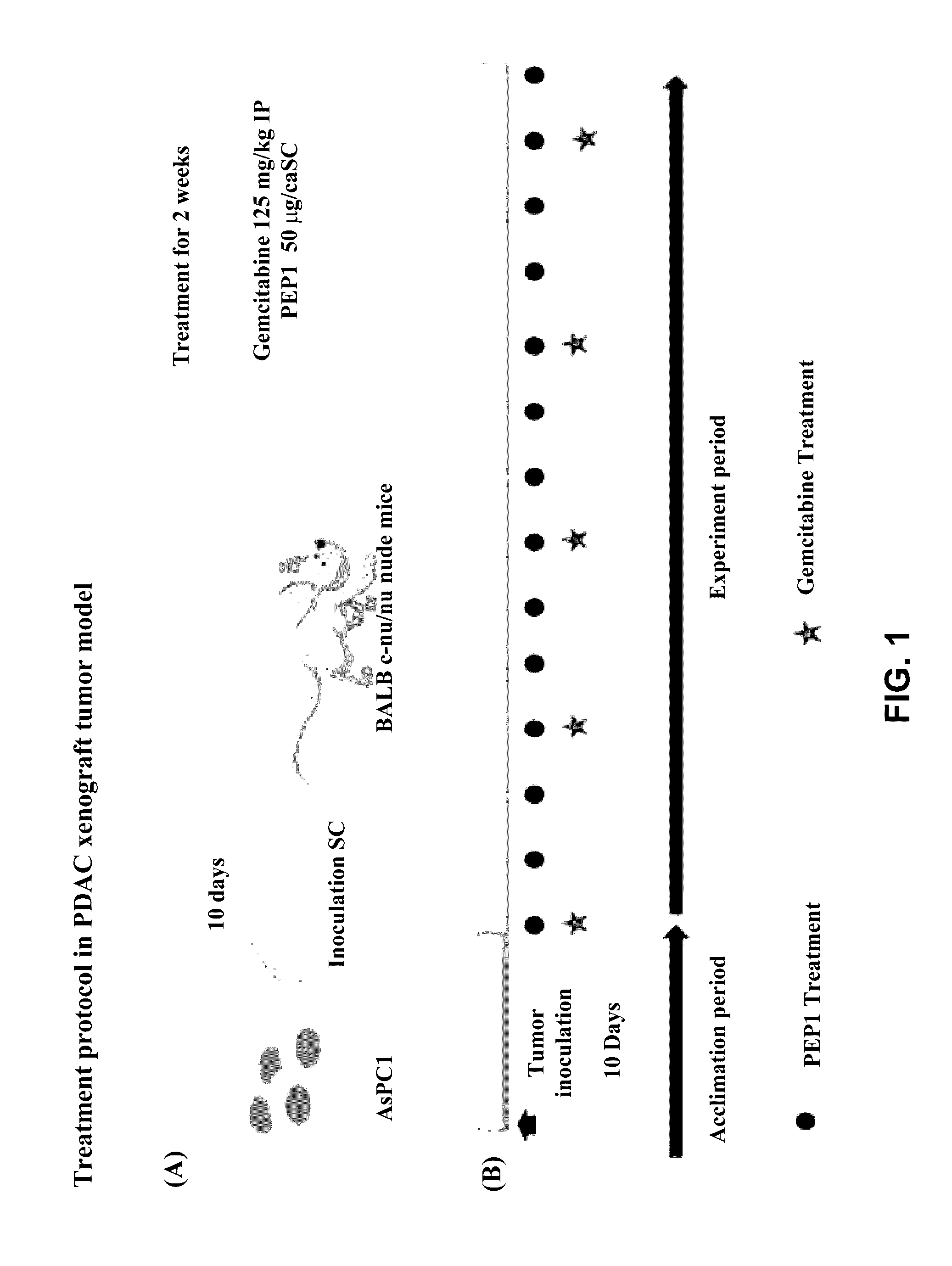 Peptide Having Fibrosis Inhibitory Activity and Composition Containing Same