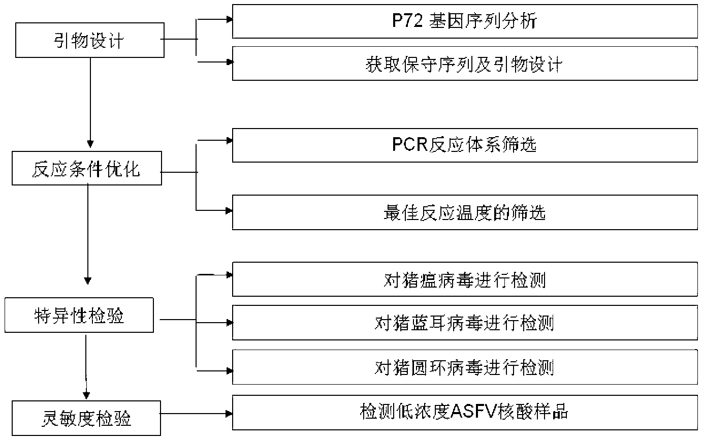 African swine fever polymerase chain reaction (PCR) detection method and oligonucleotide primer pair