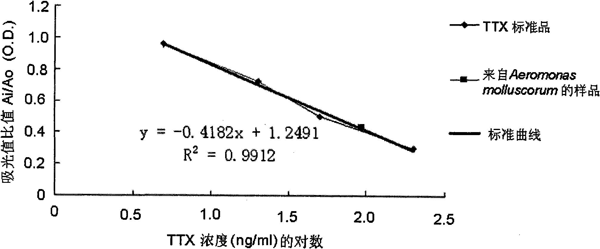 Method for separating Aeromonas molluscorum producing tetrodotoxin from Takifugu fasciatus tissue and fermentation culture method of Aeromonas molluscorum as well as detection method of produced tetrodotoxin