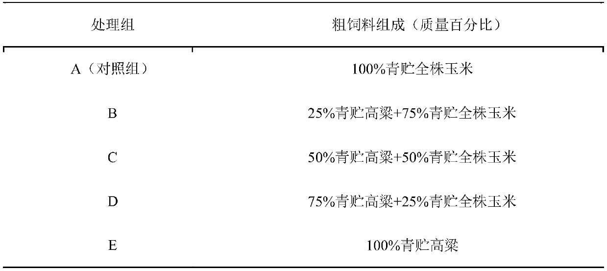 Daily ration formula for beef cattle fattening with silage sorghum addition and application of formula