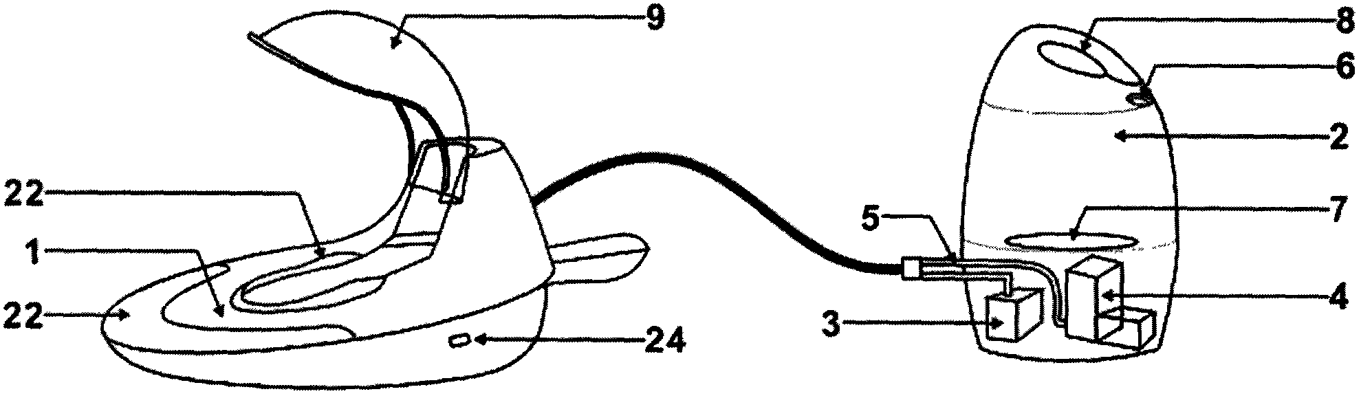 Separated bedpan