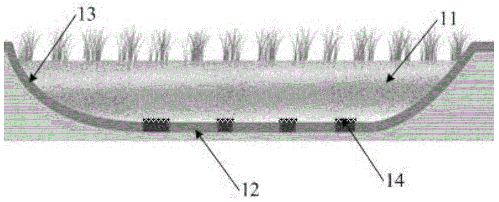 Desert plating field and construction method thereof