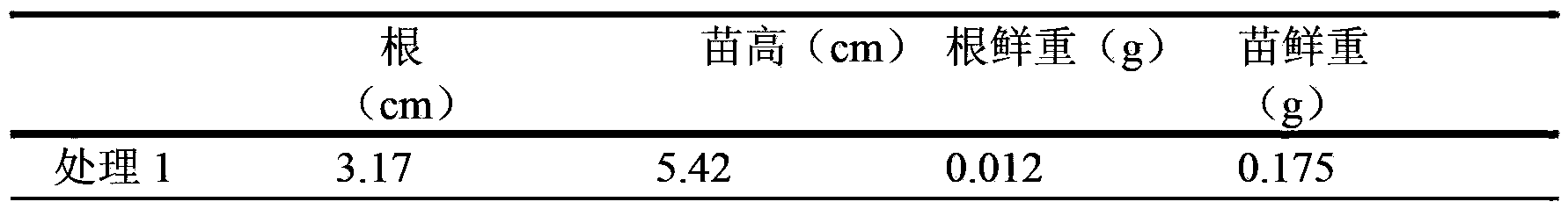 Sawdust fungus chaff nutritional agent for cultivating sweet basil and preparation method thereof