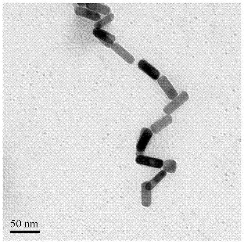 Rapid mercury detection method based on self-assembly of gold nanorods