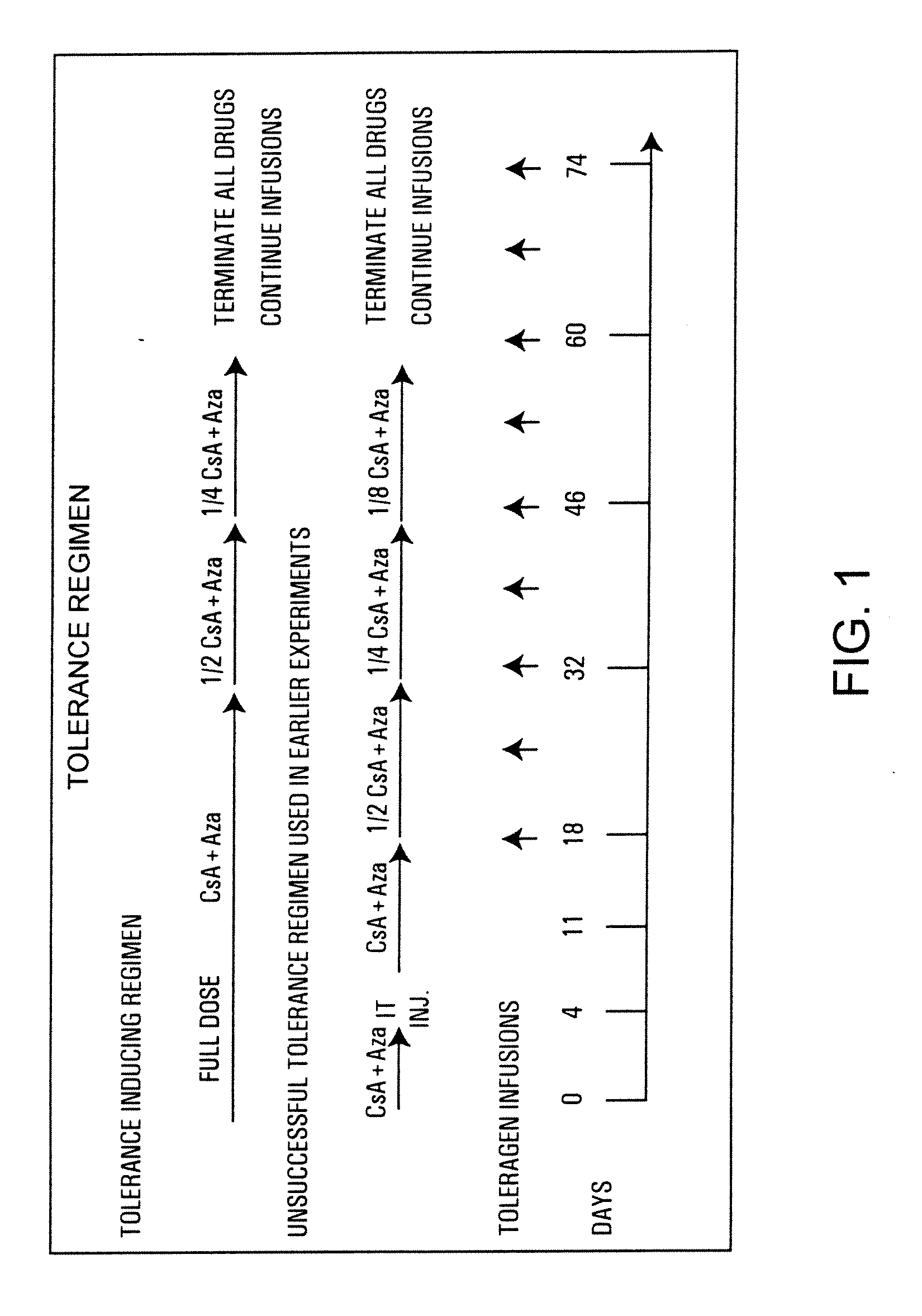 Induction of Antigen Specific Immunnologic Tolerance