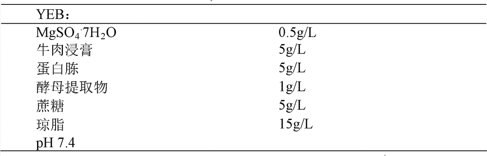 Alfalfa anthocyanin reductase gene and its encoded protein and application