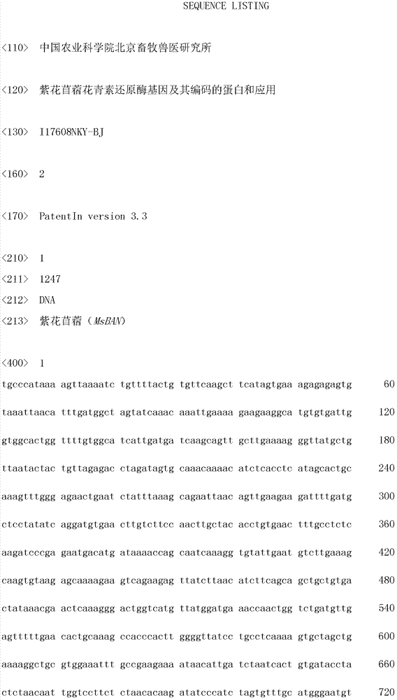 Alfalfa anthocyanin reductase gene and its encoded protein and application