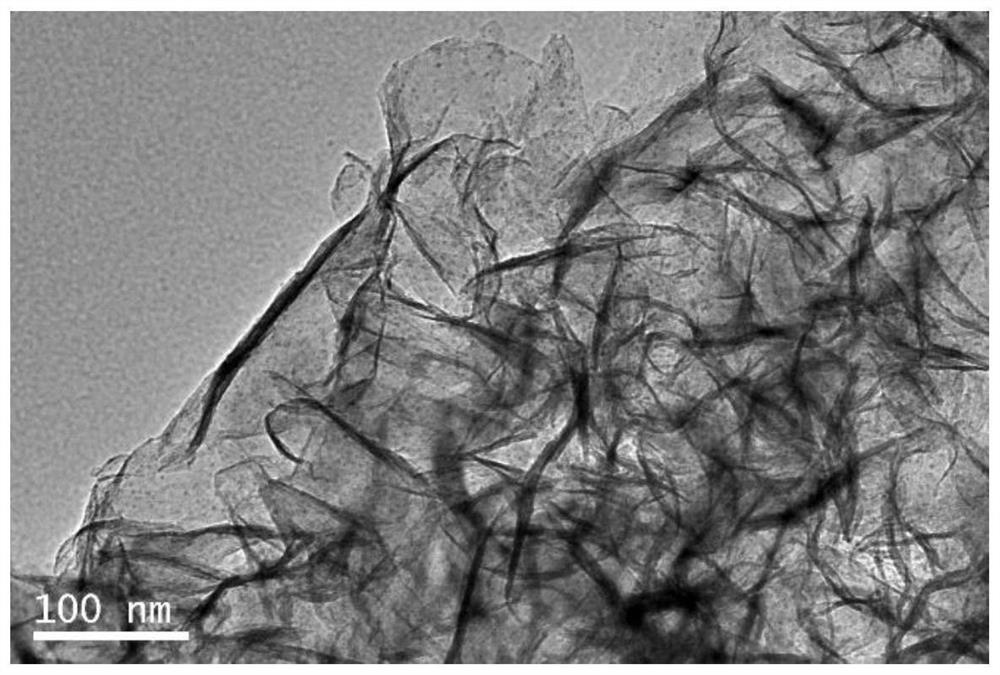 Magnetic CNx catalyst, preparation method thereof, and application of magnetic CNx catalyst in garbage rotten odor