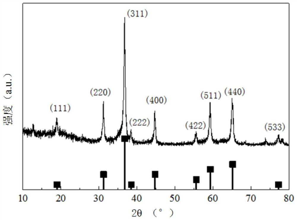 Magnetic CNx catalyst, preparation method thereof, and application of magnetic CNx catalyst in garbage rotten odor