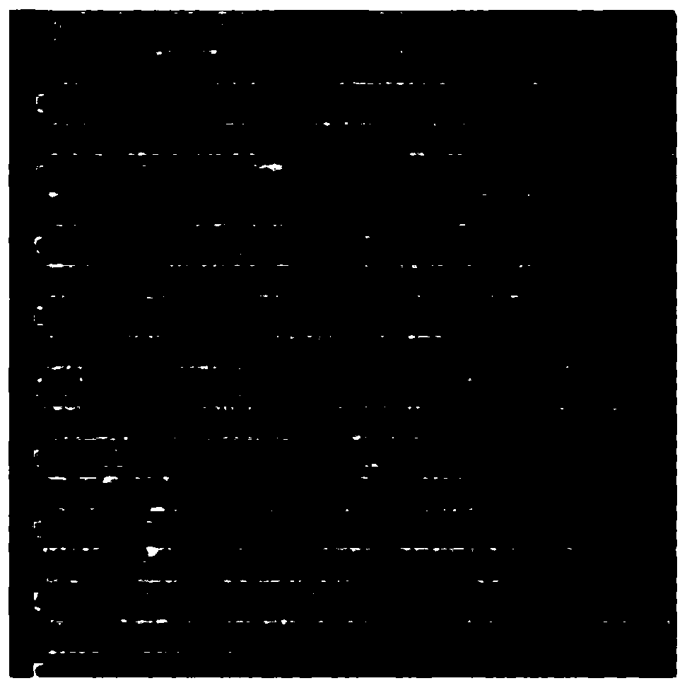 Microscopic imaging processing method based on neural network super-resolution technology