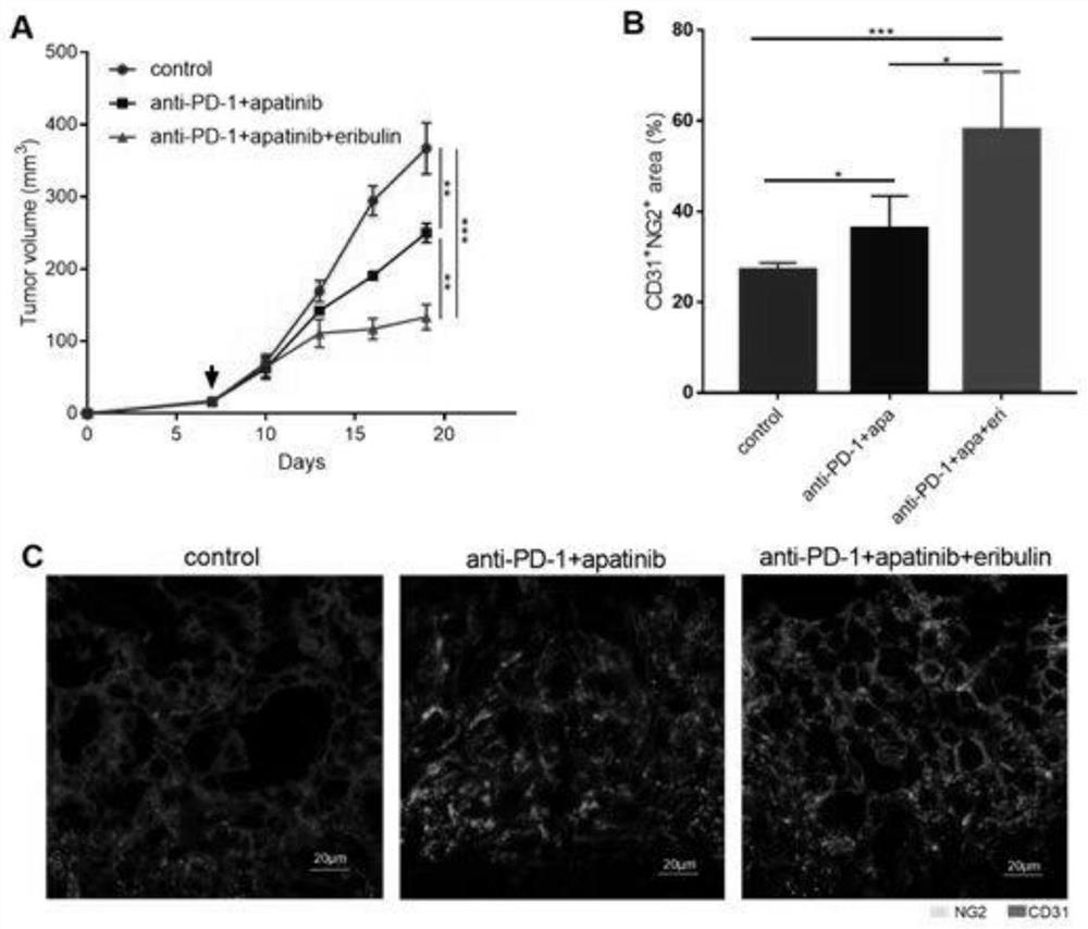 Pharmaceutical composition for treating advanced breast cancer