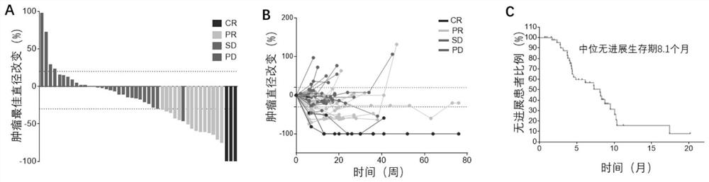 Pharmaceutical composition for treating advanced breast cancer