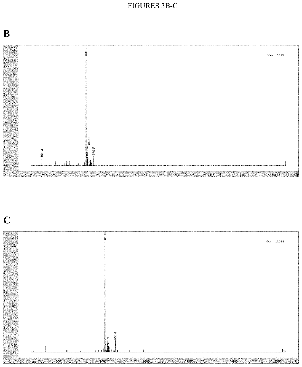 Universal kinase substrates and methods of use thereof