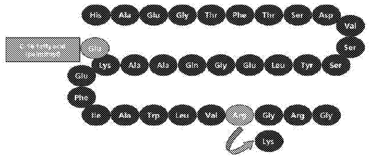 A pharmaceutical preparation containing glp-1 analogs and its preparation method