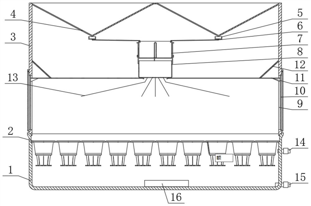 Seedling raising device and seedling raising method of Suzuki chrysanthemum in containers