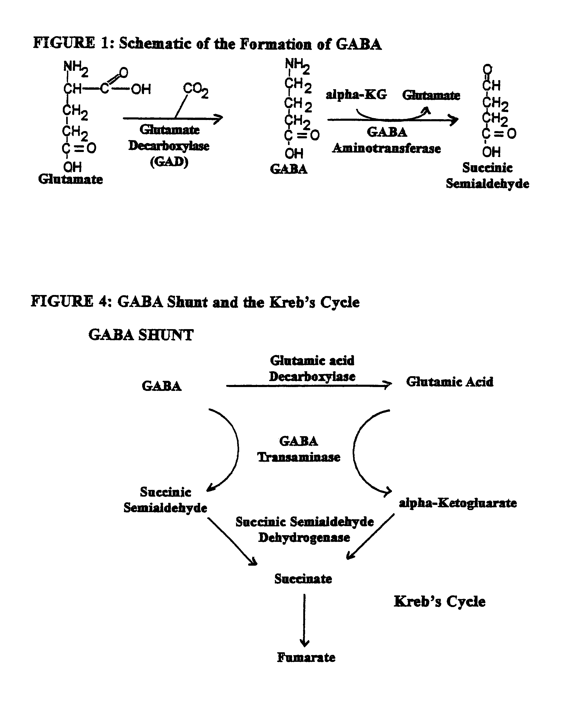 Enkephalinase inhibitor and GABA precursor loading as anti-anxiety compositions