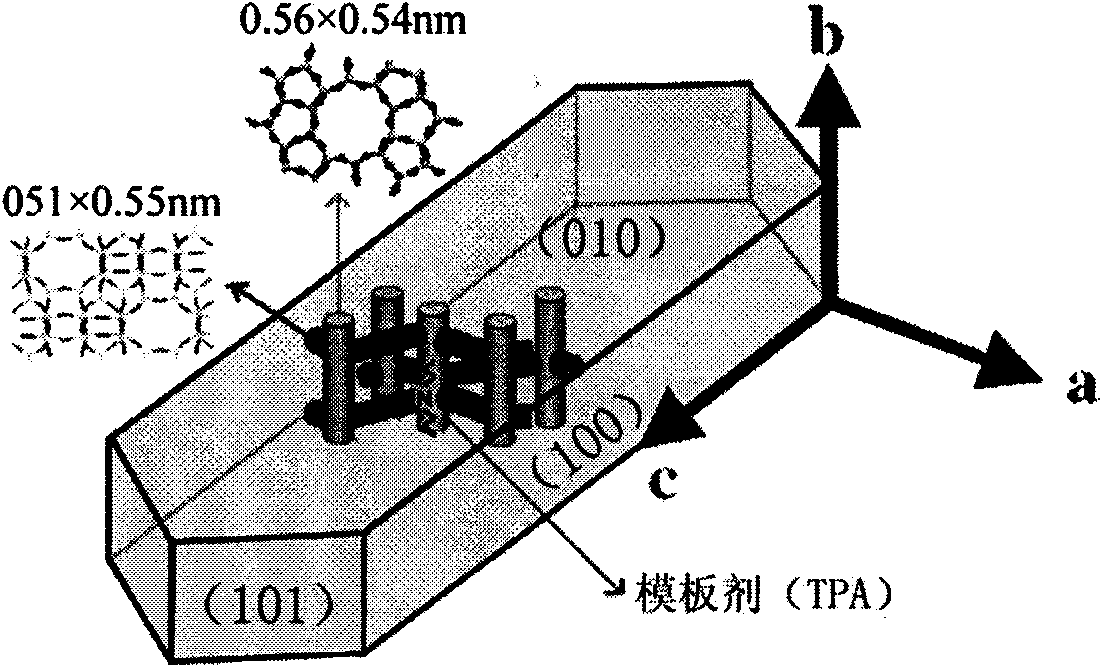 Method for preparing orientation molecular sieve membrane