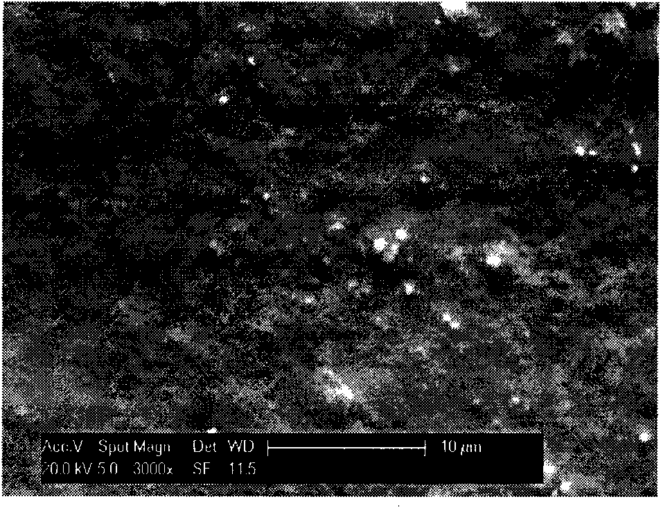 Method for preparing orientation molecular sieve membrane