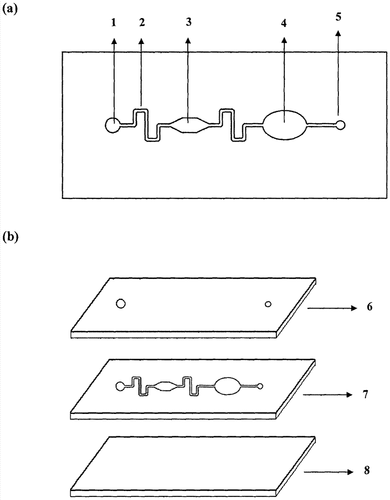 A Microfluidic Chip for Immunological Detection of Glycated Hemoglobin