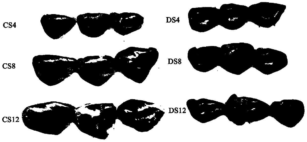 Compound feed for relieving liver glycogen accumulation of micropterus salmoides and preparation method of compound feed