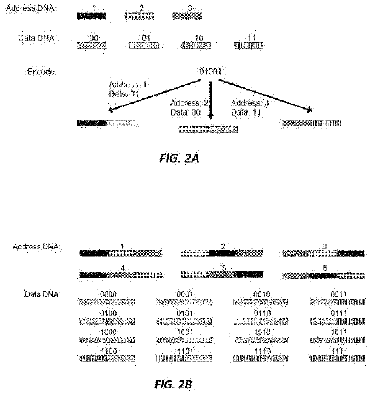 Data structures and operations for searching, computing, and indexing in dna-based data storage