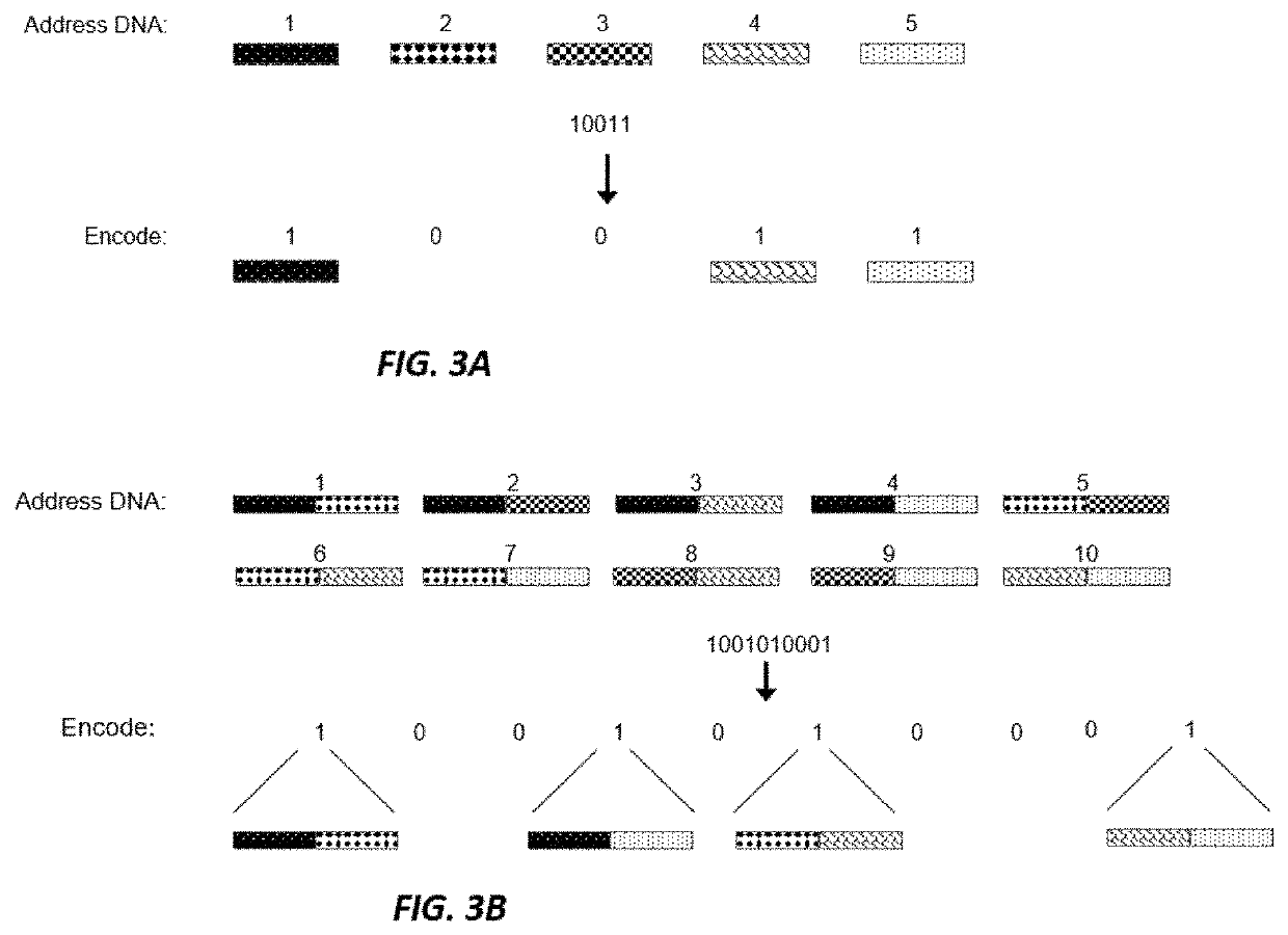 Data structures and operations for searching, computing, and indexing in dna-based data storage