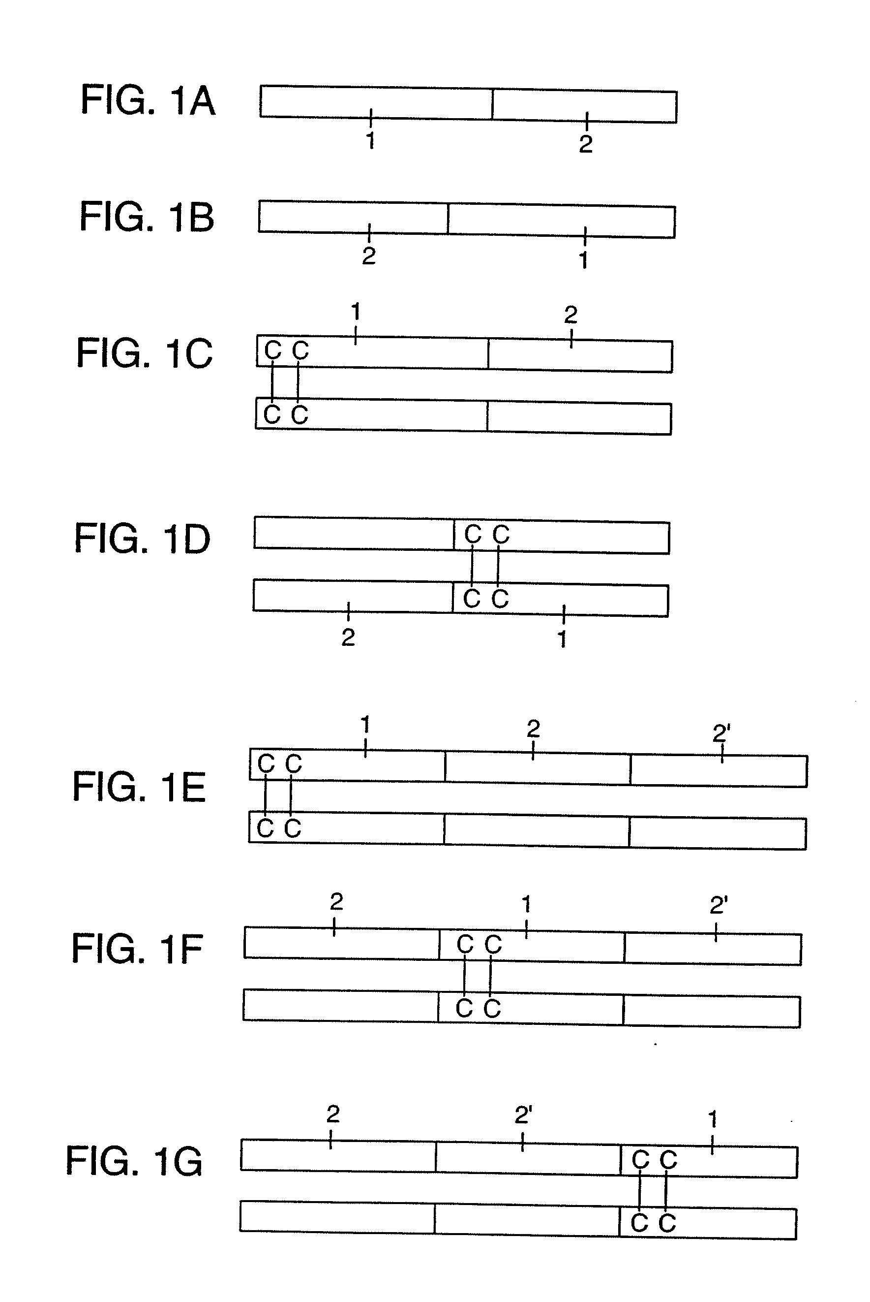 Methods of using Fc-Cytokine fusion proteins