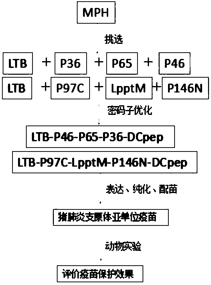 Mycoplasma hyopneumoniae subunit vaccine and preparation method and application thereof