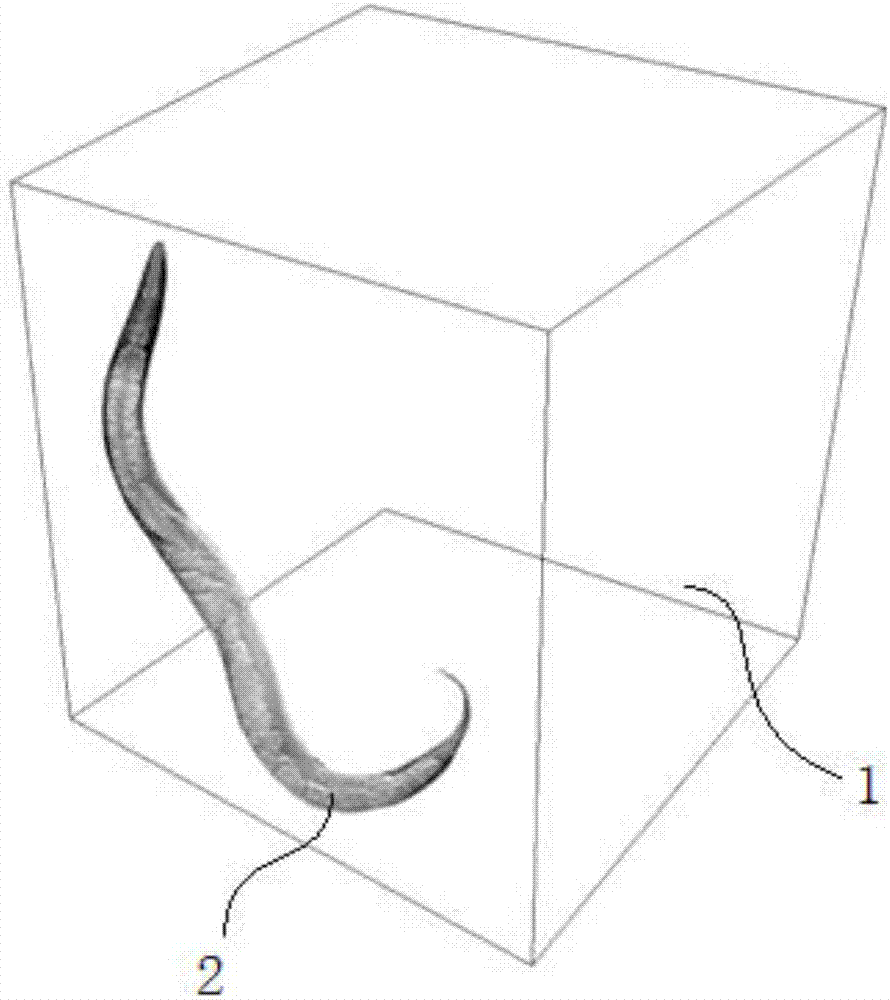 Engraving specimen and manufacturing method thereof