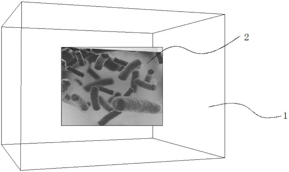 Engraving specimen and manufacturing method thereof