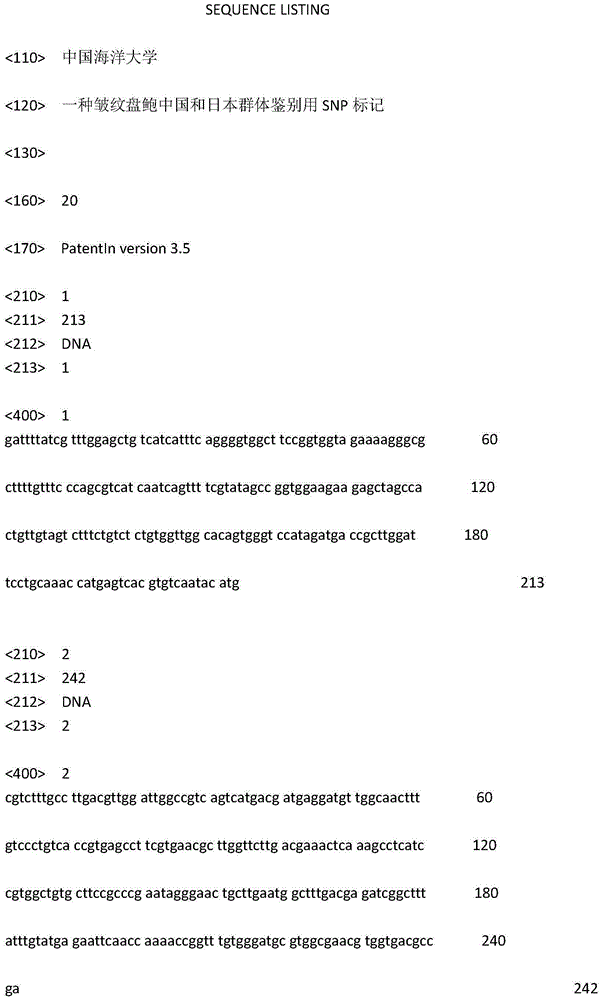 SNP (single nucleotide polymorphism) marker for distinguishing Chinese population and Japan population of haliotis discus hannai