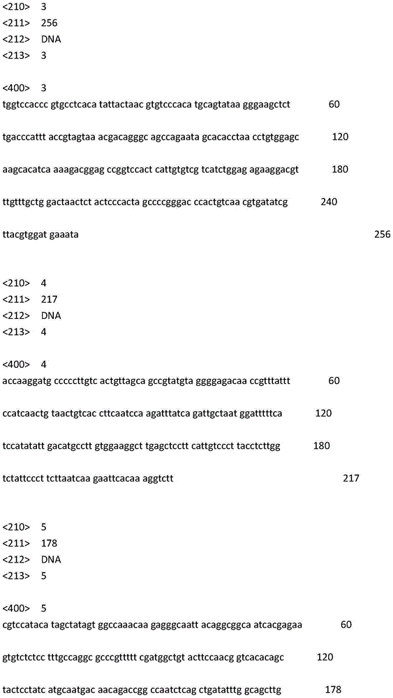 SNP (single nucleotide polymorphism) marker for distinguishing Chinese population and Japan population of haliotis discus hannai