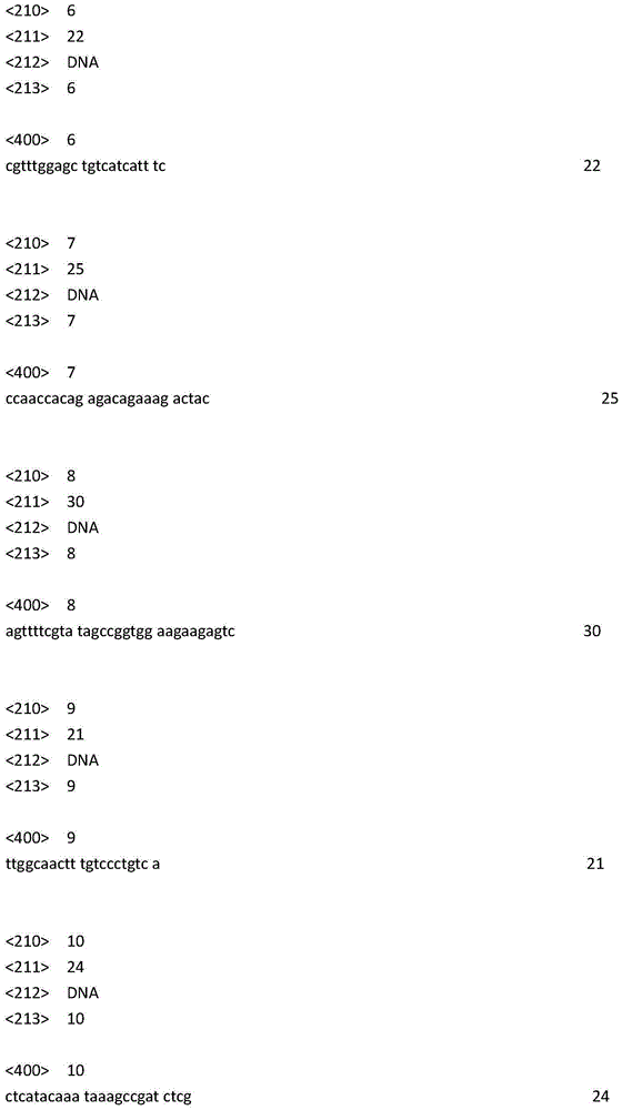 SNP (single nucleotide polymorphism) marker for distinguishing Chinese population and Japan population of haliotis discus hannai