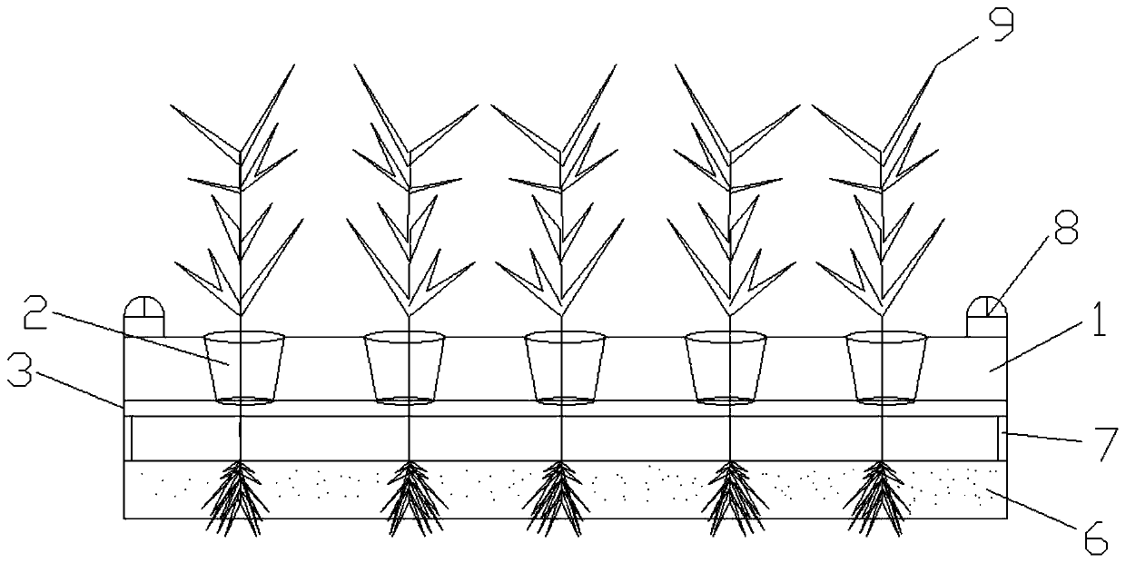 Submerged aquatic plant culture planting and harvesting generating device