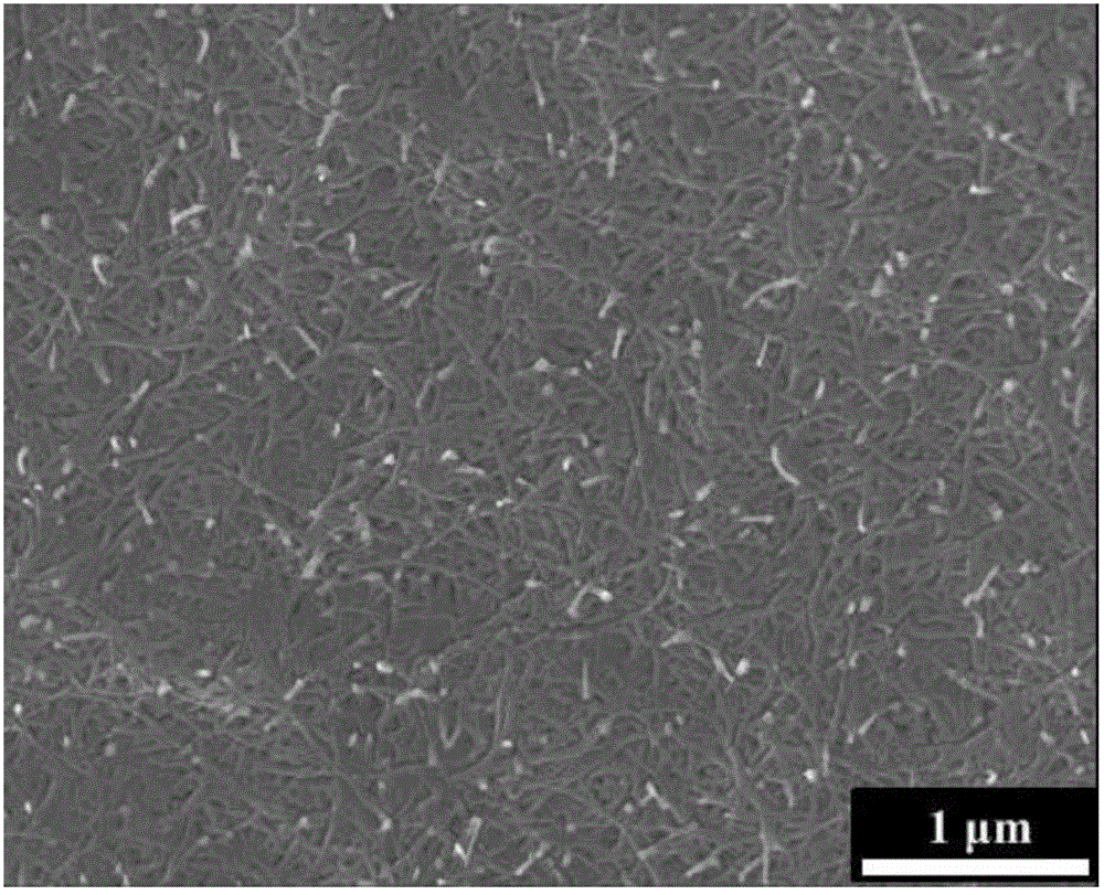 Nickel oxide doped sodium titanate-titanium dioxide composite photocatalyst and preparation method thereof