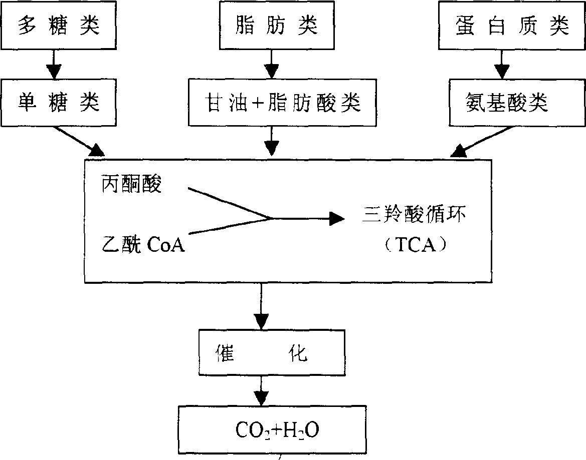 YB microbe function fungus and domestic organic garbage treating machine