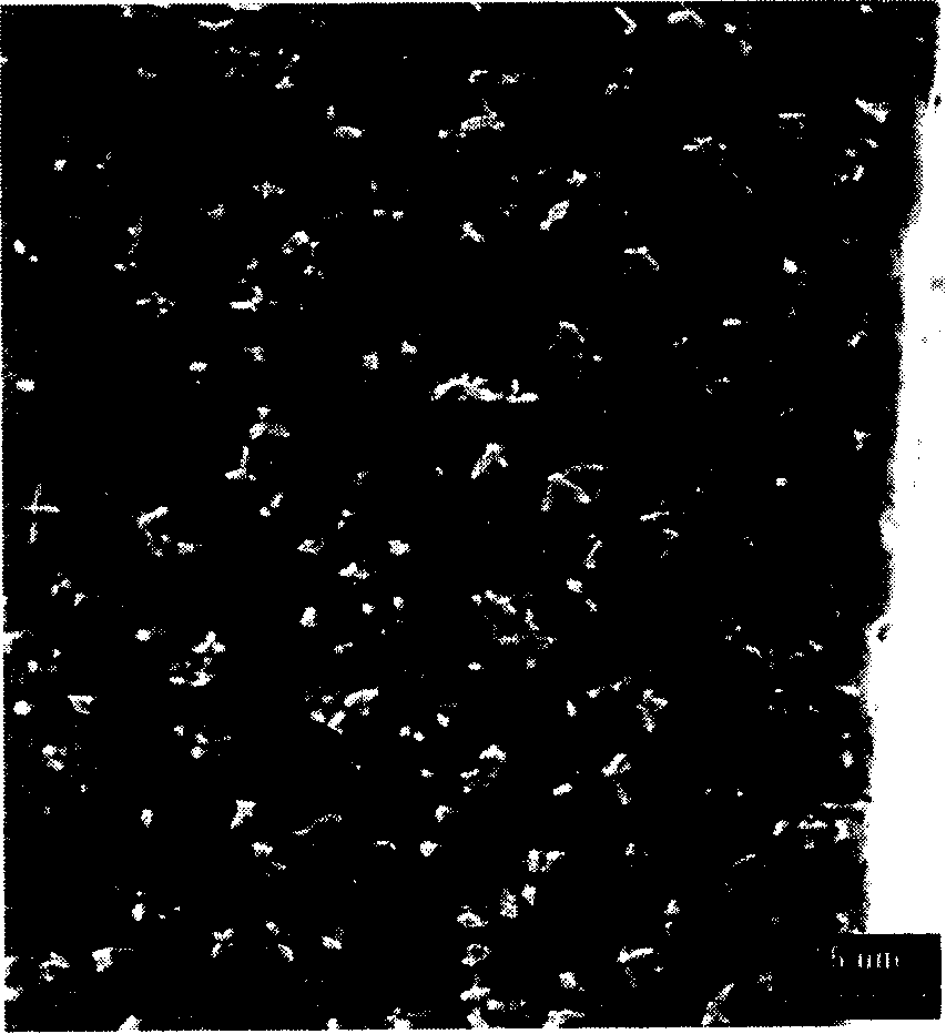 Ni3(Si,Ti)-WC composite coating material and preparation method thereof