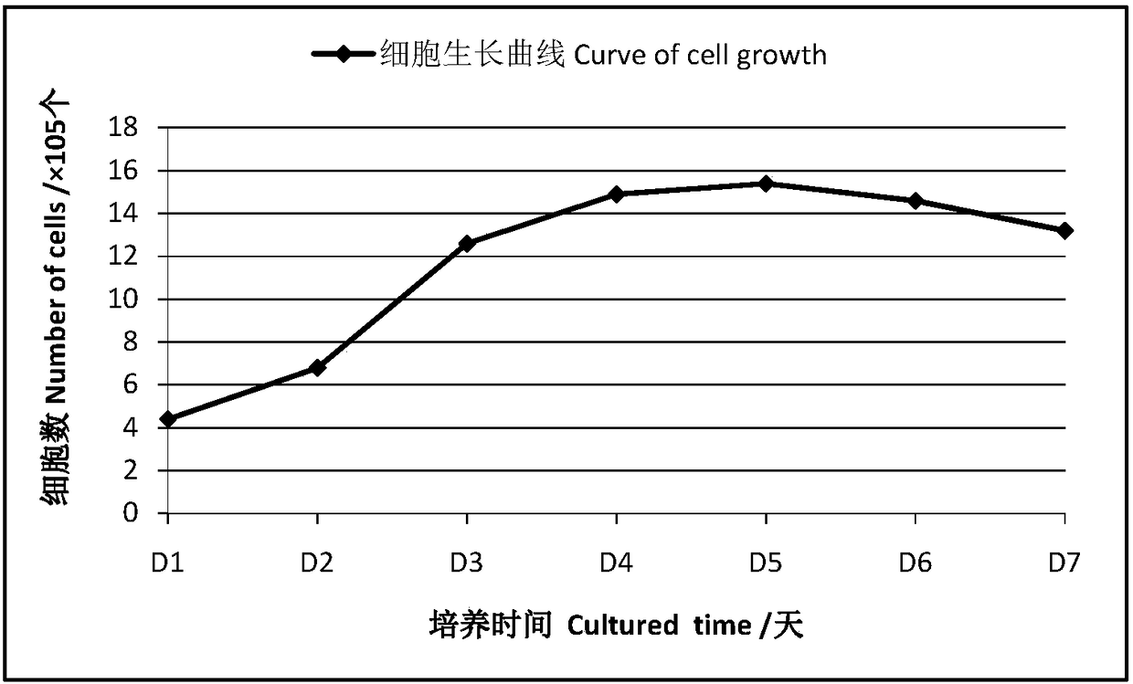 Ctenopharyngodon idellus muscle tissue cell line and application