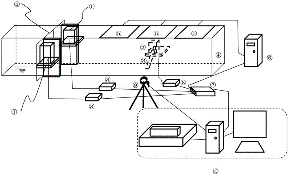 Animal experimental device