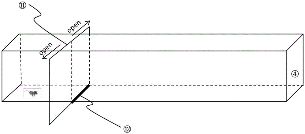 Animal experimental device