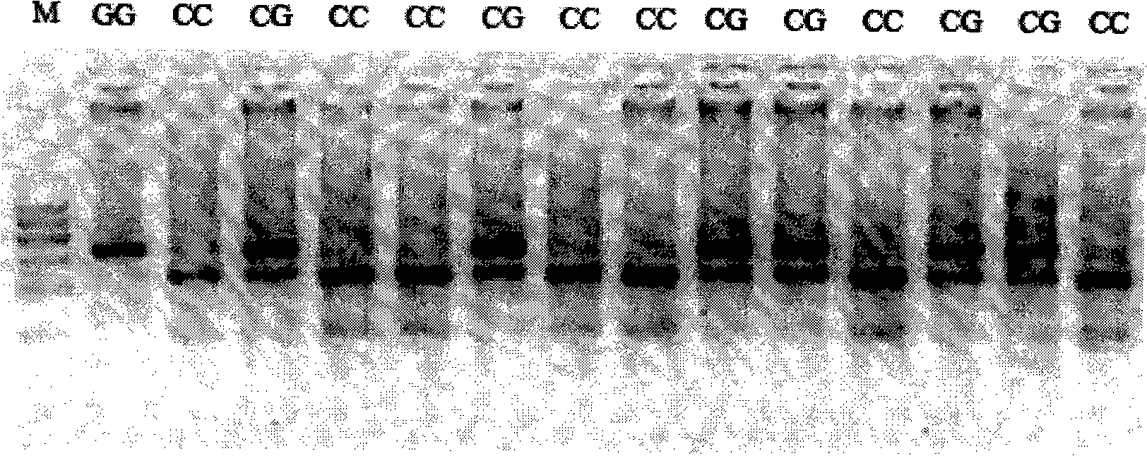 Method and reagent box for predicting dihydrochlorothiazide antihypertensive efficacy