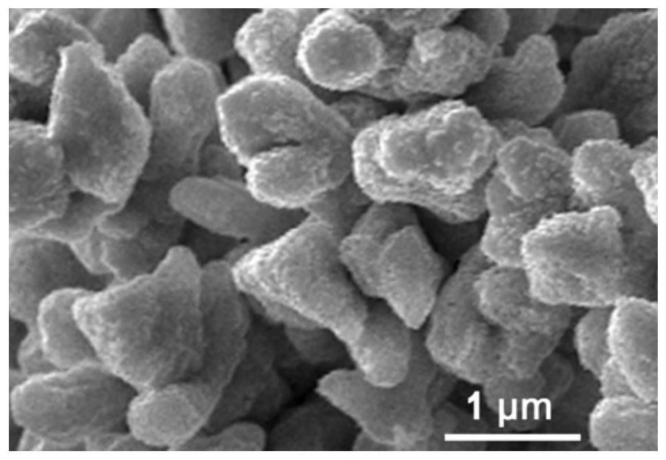 A kind of preparation method of cuprous oxide electrode