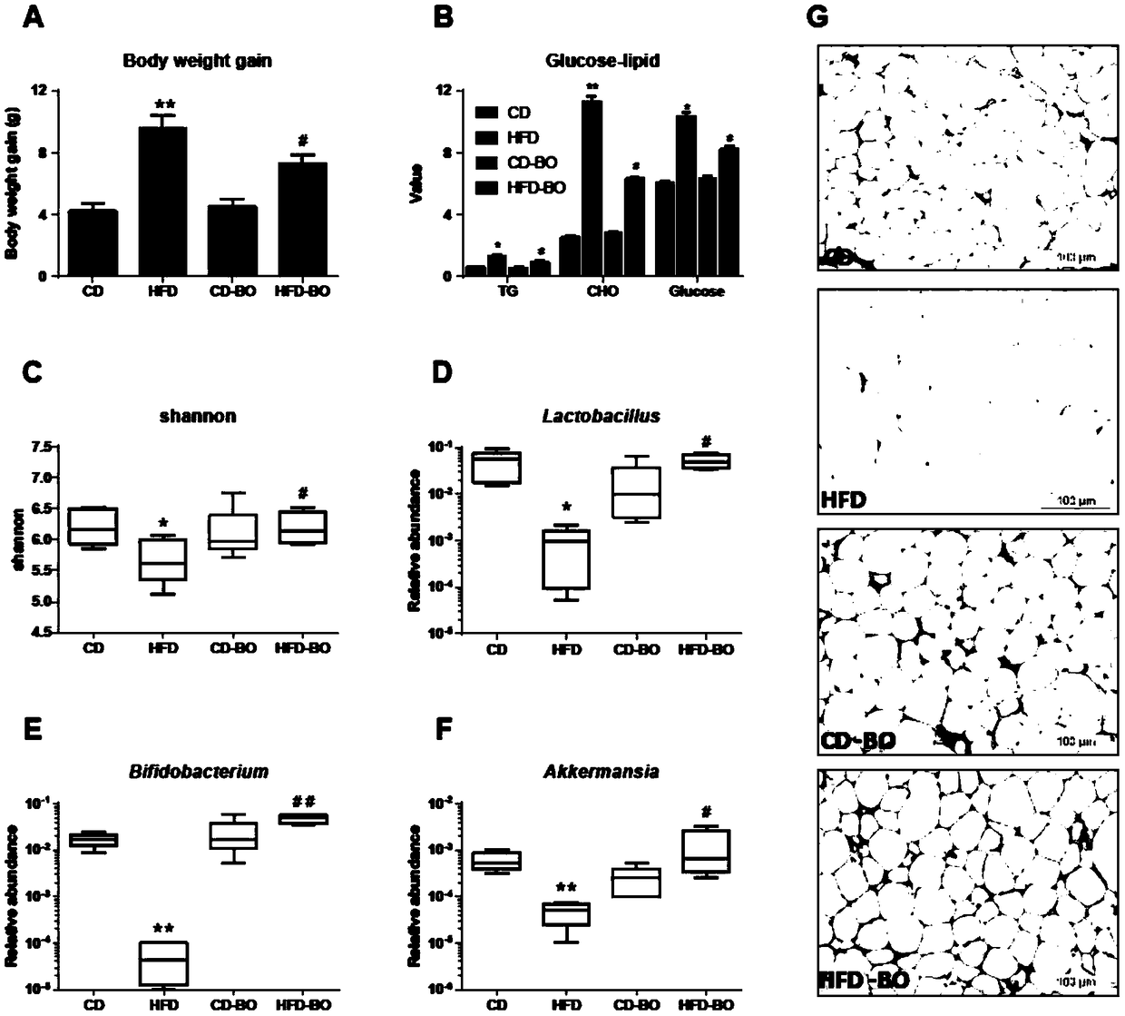 Application of bletilla striata oligosaccharide and composition thereof in adjusting glucose and lipid metabolism disorder