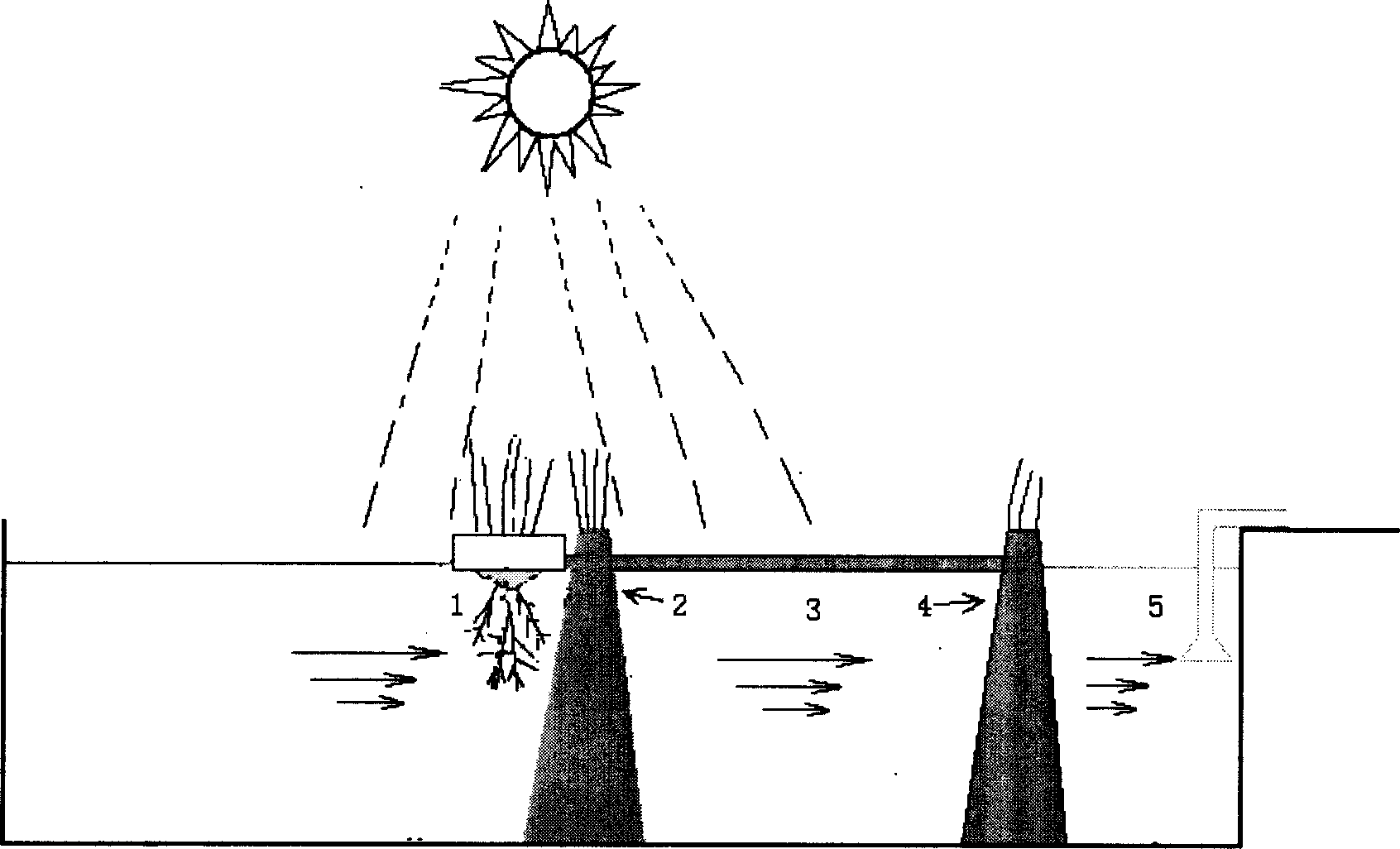 Method for preventing and controlling eutrophic water bloom in drinking water source