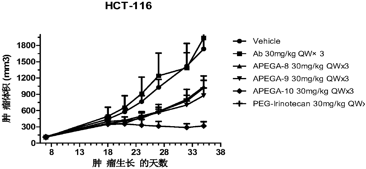 Multi-drug-loading-point and high-drug-loading ligand-drug conjugate