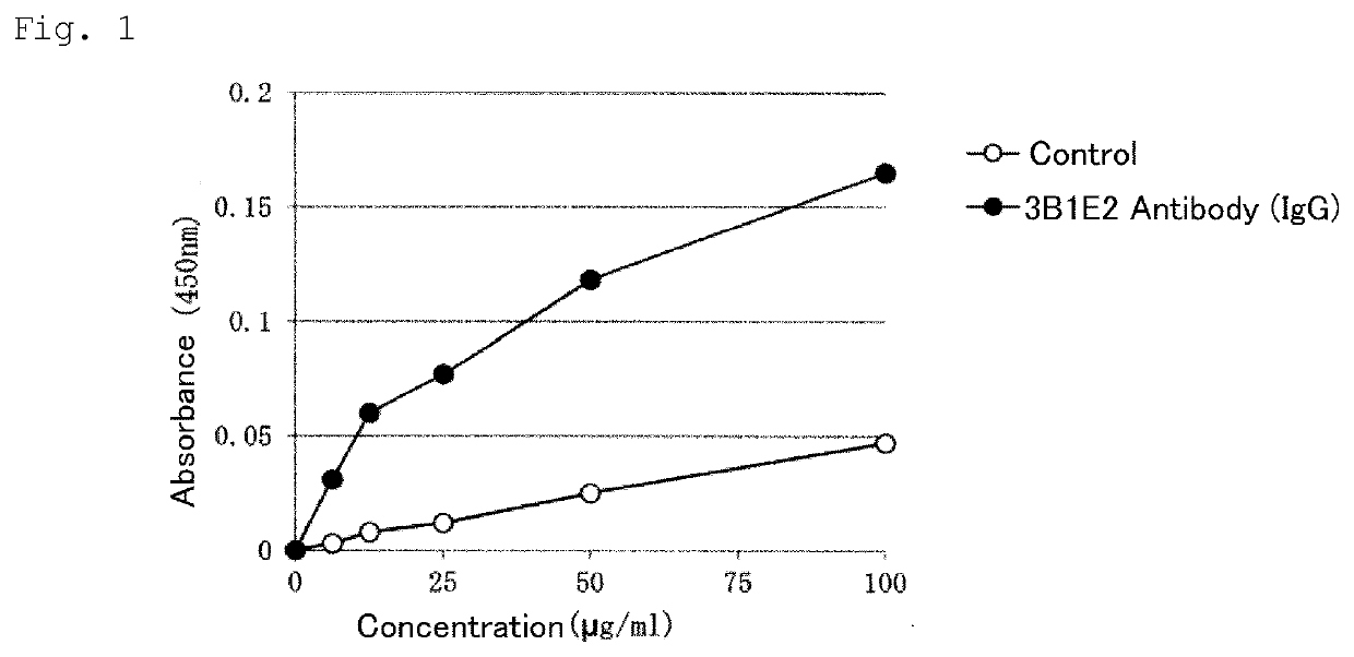 Antibody and functional fragment thereof